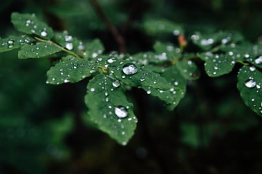 andrew-spencer-L73X3qHVAN4-unsplash